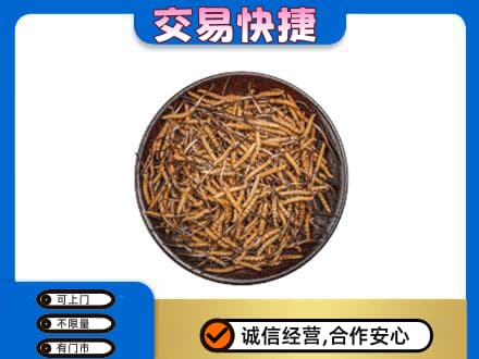 洛阳高价回收散虫草